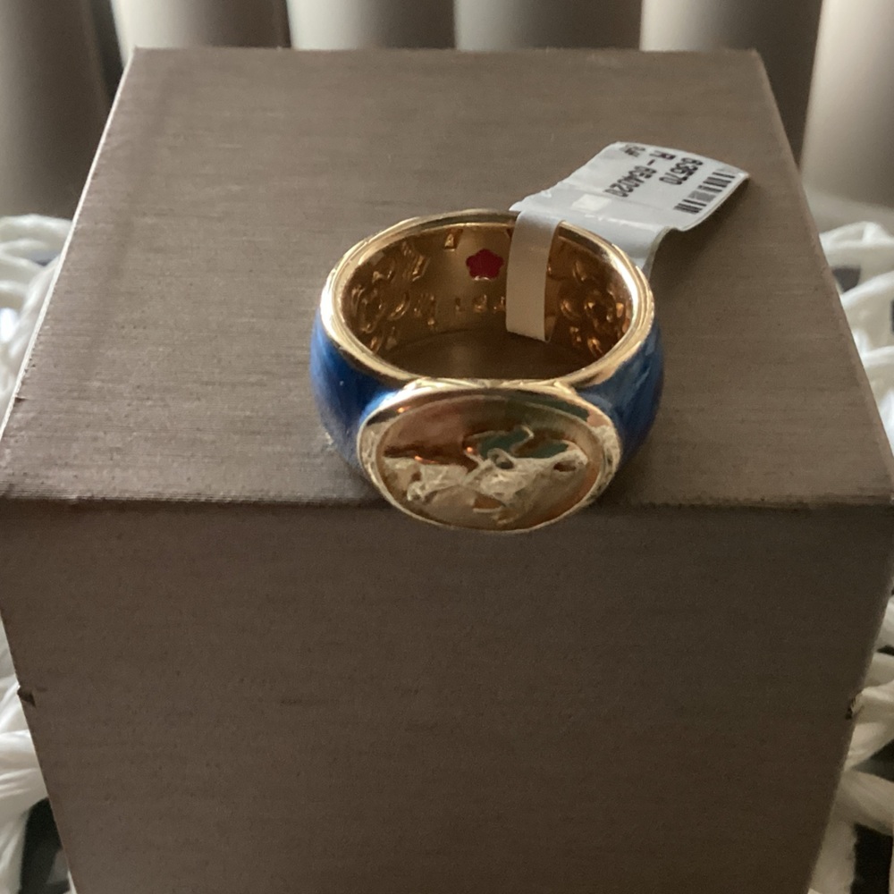 Gold and Blue Decorative Accent Ring The Equasterine by Lauren G Adams